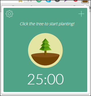 forest start timer